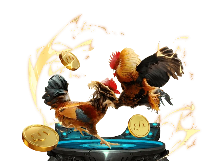 Quà sinh nhật VIP